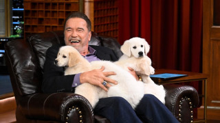 Арнолд Шварценегер обича животните и не само да им се