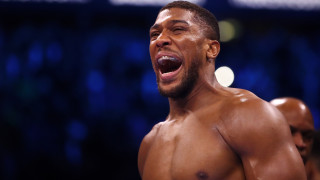 Бившият шампион на WBA IBF и WBO в тежка категория