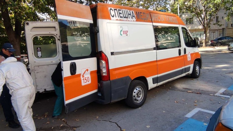 Изображение 732895