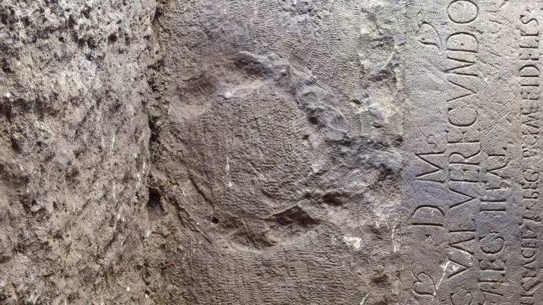 Изображение 752895