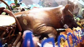 Германия под тревога след нови случаи на африкански свински грип