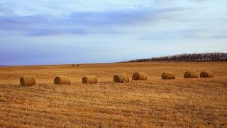 Две български компании притежават и управляват земеделска земя с обща