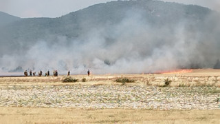 Пожар гори в района на военния полигон край старозагорското село