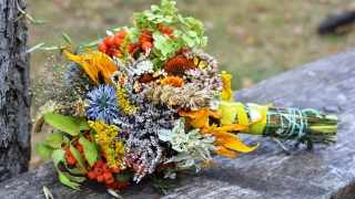 България е лидер по износ на билки в Европа и света