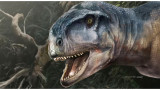 Llukalkan aliocranianus - хищният динозавър, открит наскоро в Аржентина