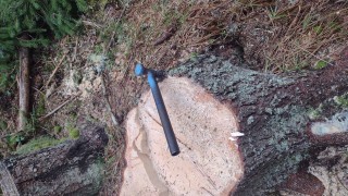 Задържани са 23 плътни кубически метра незаконно добита строителна дървесина