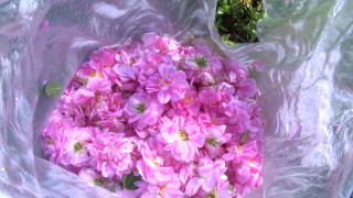 ББР създаде нов продукт с преференциални условия в помощ на