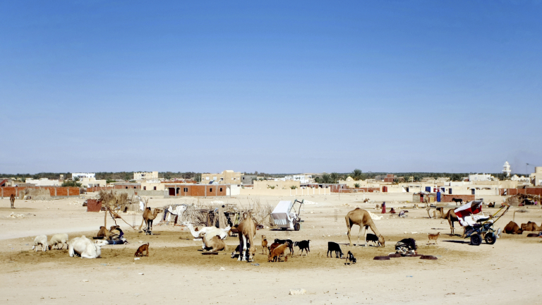 Изображение 246695