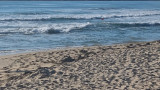  8-годишно румънче се удави на плаж в 