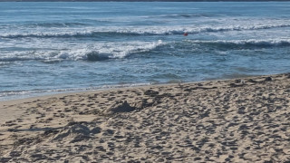 Морето изхвърли тонове използвани мокри кърпички на плажа във Варна