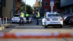 Дърво затисна паркирана кола зад Съдебната палата в Русе