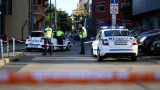 Дърво е паднало върху паркирана кола зад Съдебната палата в