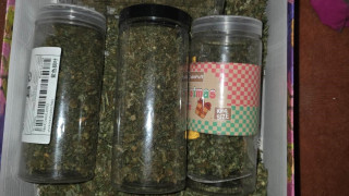 Задържаха двама за отглеждане на марихуана в жилищна сграда в