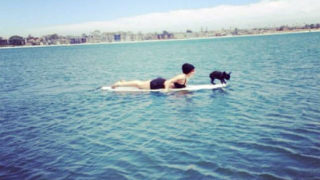 Лейди Гага кара сърф с куче