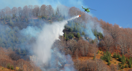 Над 70 пожарникари гасят огнената стихия в Свиленградско