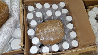 При проверка на товарен автомобил митнически служители на ГКПП Капитан