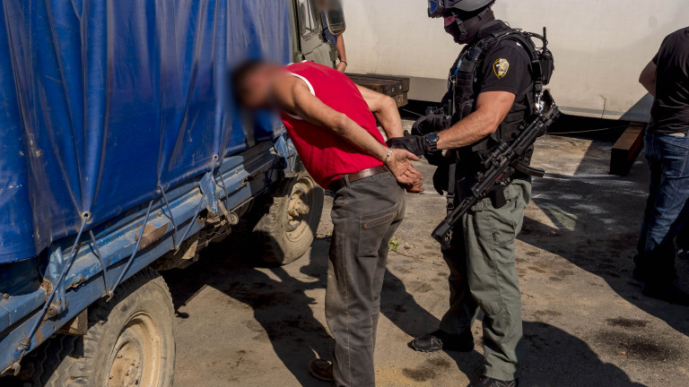 Изображение 379195