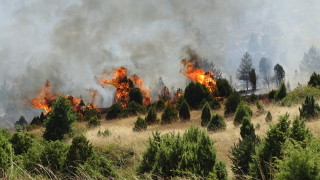 Голям пожар възникна в Кресненското дефиле Установено е че огънят е