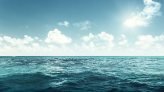 Океаните съдържат 97 от водата на нашата планета Те са