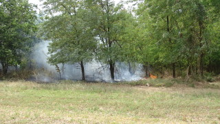 Под контрол е пожарът край харманлийските села Преславец и Поляново