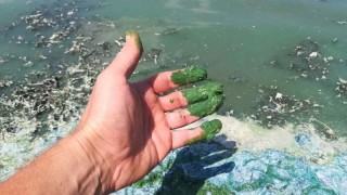 Екоинспекцията провери сигнал за позеленяла вода в язовир Бели Лом