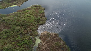 Днес 3 ноември отбелязваме Международния ден на биосферните паркове Датата