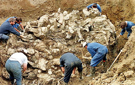 Ексхумираха над 360 тела на жертви на клането в Сребреница