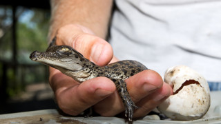 Преди време ви разказахме за идеята на едно шотландско летище които