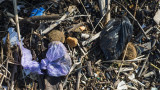  Замърсяването с микропластмаси е безусловно на всички места на планетата 