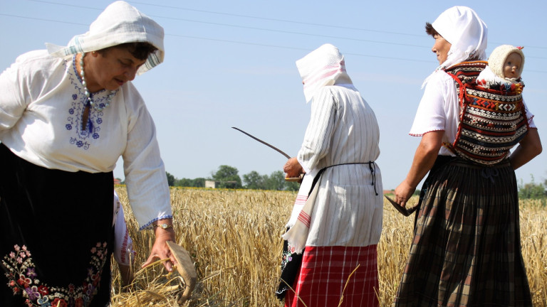 Изображение 300896