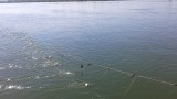 Над 4,5 тона риба и миди и 38 км мрежи са заловени при проверки на ИАРА