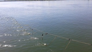 Първите проби отчетоха чиста морска вода край Варна