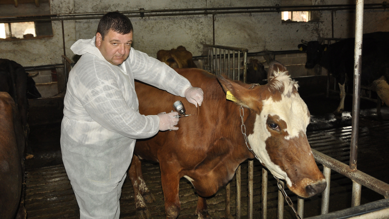 Още 100 000 ваксини за животните в Южна България пристигат до края на месеца