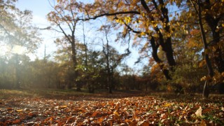 Днес през по голямата част от деня в равнините и котловините