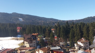 Работодателите трябва да декларират реалното започване на работа на чужденци