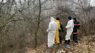 Във Враца разследват кой е изхвърлил животински отпадъци на незаконно сметище