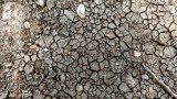 Тома Белев: Един милион българи имат вода, но тя не става за пиене