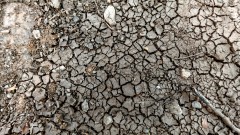 Тома Белев: Един милион българи имат вода, но тя не става за пиене