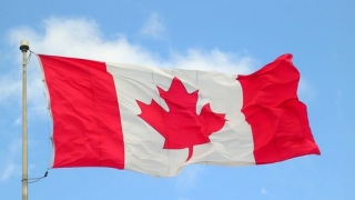 Канадците създадоха нова валута „по габровски”