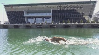 Лошото време в Атлантическия океан прекрати по средата на дистанцията