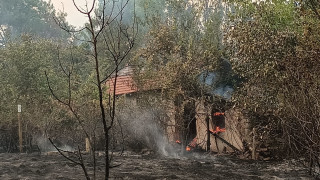 Пожар бушува трети ден в Хасковско