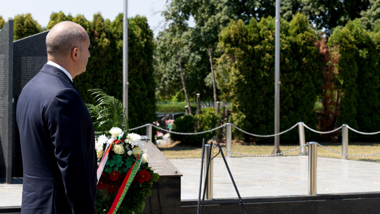 Изображение 724396