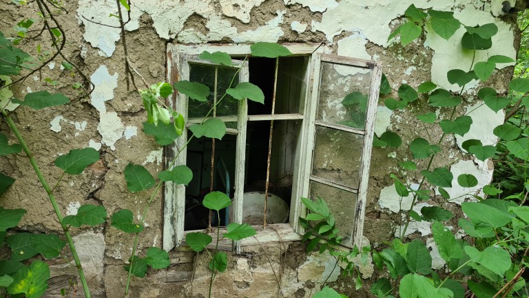 Изображение 534696