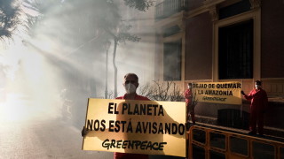 Обезлесяването в бразилската Амазонка се е увеличило през октомври за