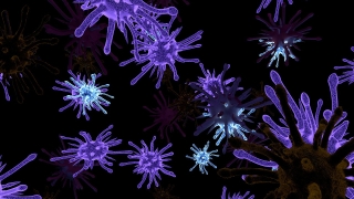 Новозеландски учени откриха вирус, поразяващ раковите клетки