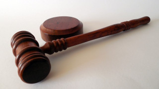 Осъдиха шестима за незаконна сеч в Луковит