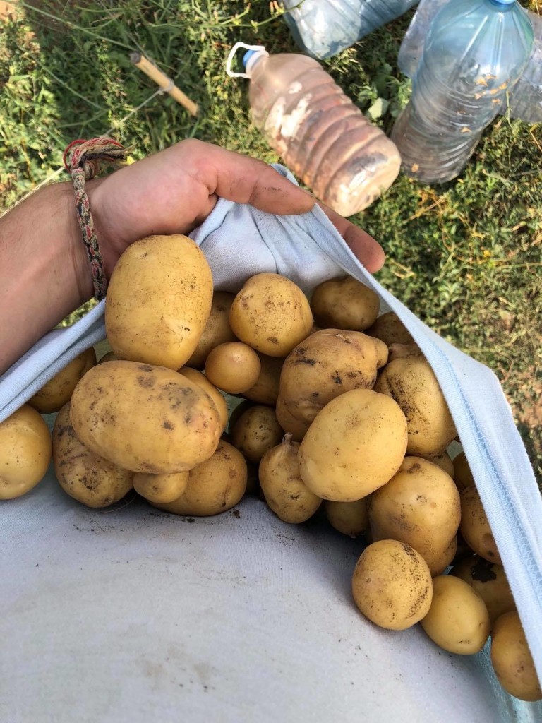Снимка 475796