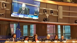 Атакуваха Нено Димов в ЕП заради Пирин и мнението му, че глобалното затопляне е мит