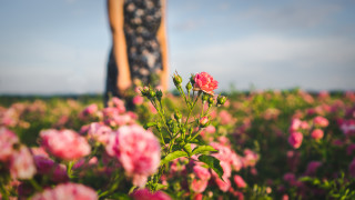 В последните години конкурсите за красота в Бълагрия позагубиха от