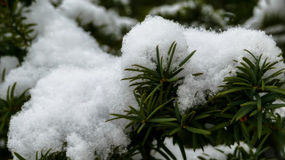Ветровита събота, положителни максимални температури на места